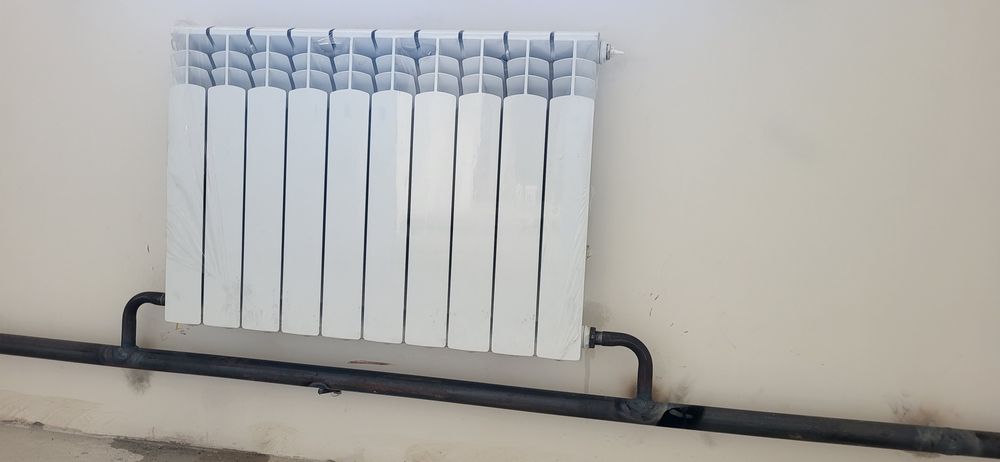 Боторея сатылады