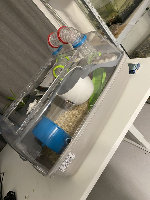 Cusca de hamsteri cu tot cu hamster