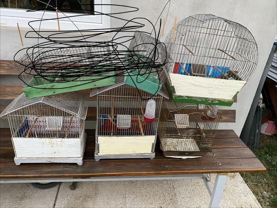 Colivii pasari voliere