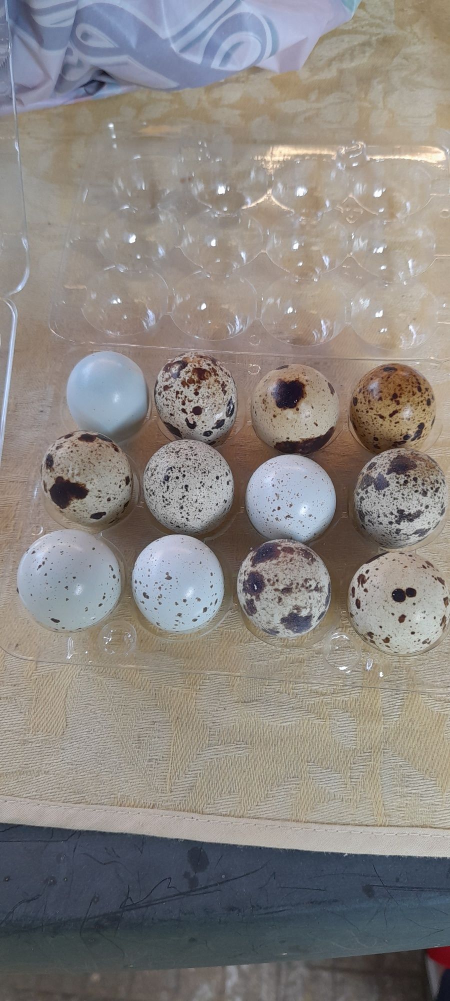 Яйца от пъдпъдъци