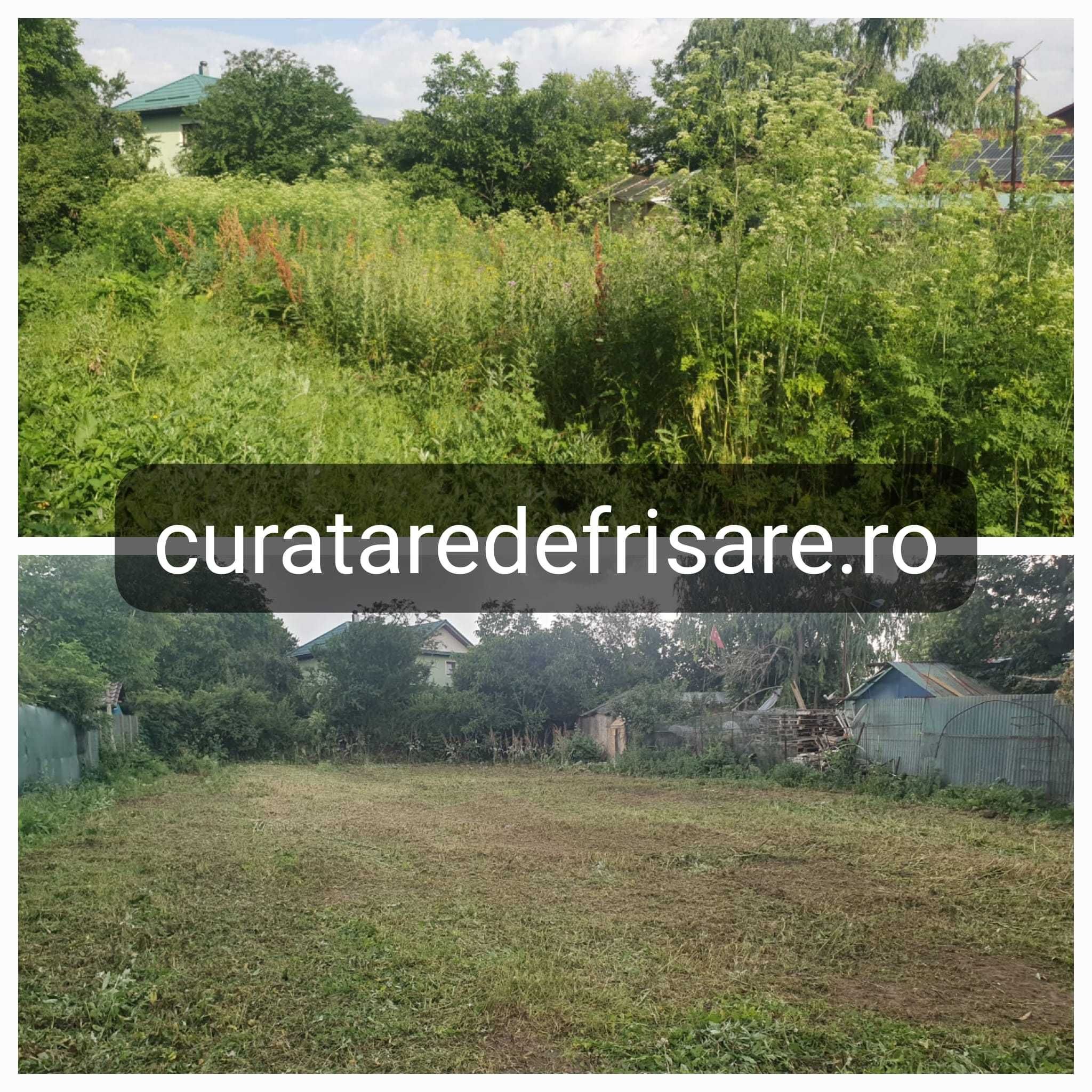 Curatare teren eliminare ambrozie, igienizare teren, tocare vegetatie