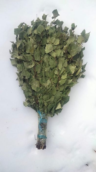 Берёзовые веники!