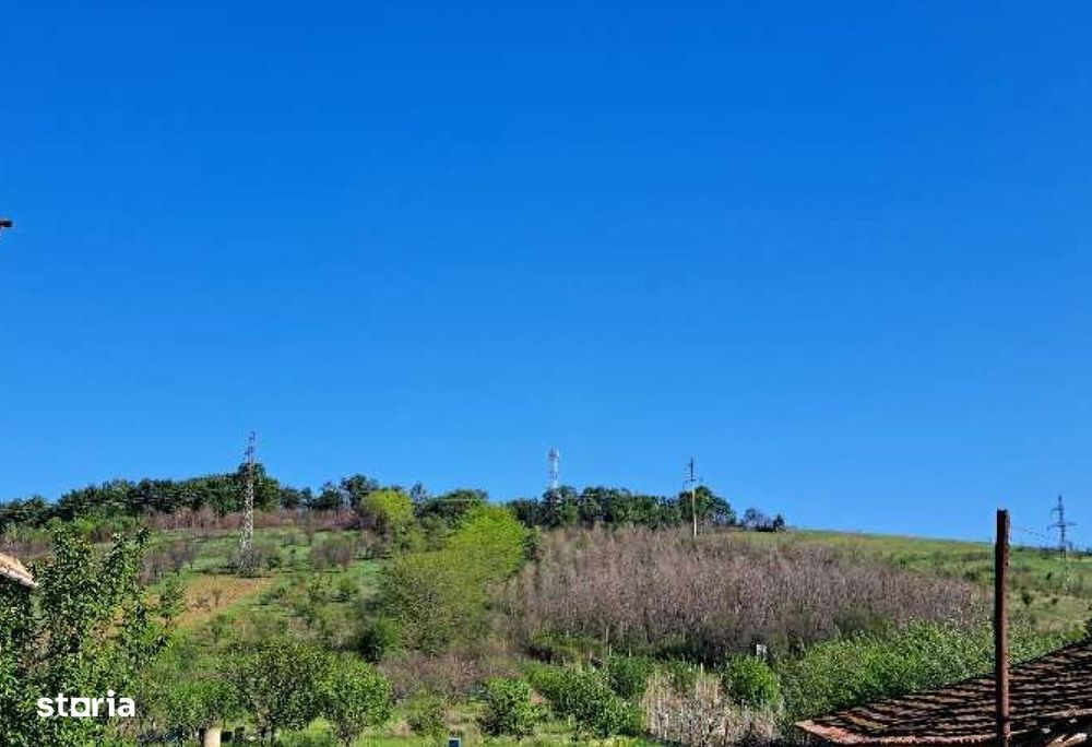 Cota de 1/2 din teren extravilan, comuna Rogova, Jud Mehedinti CP25499