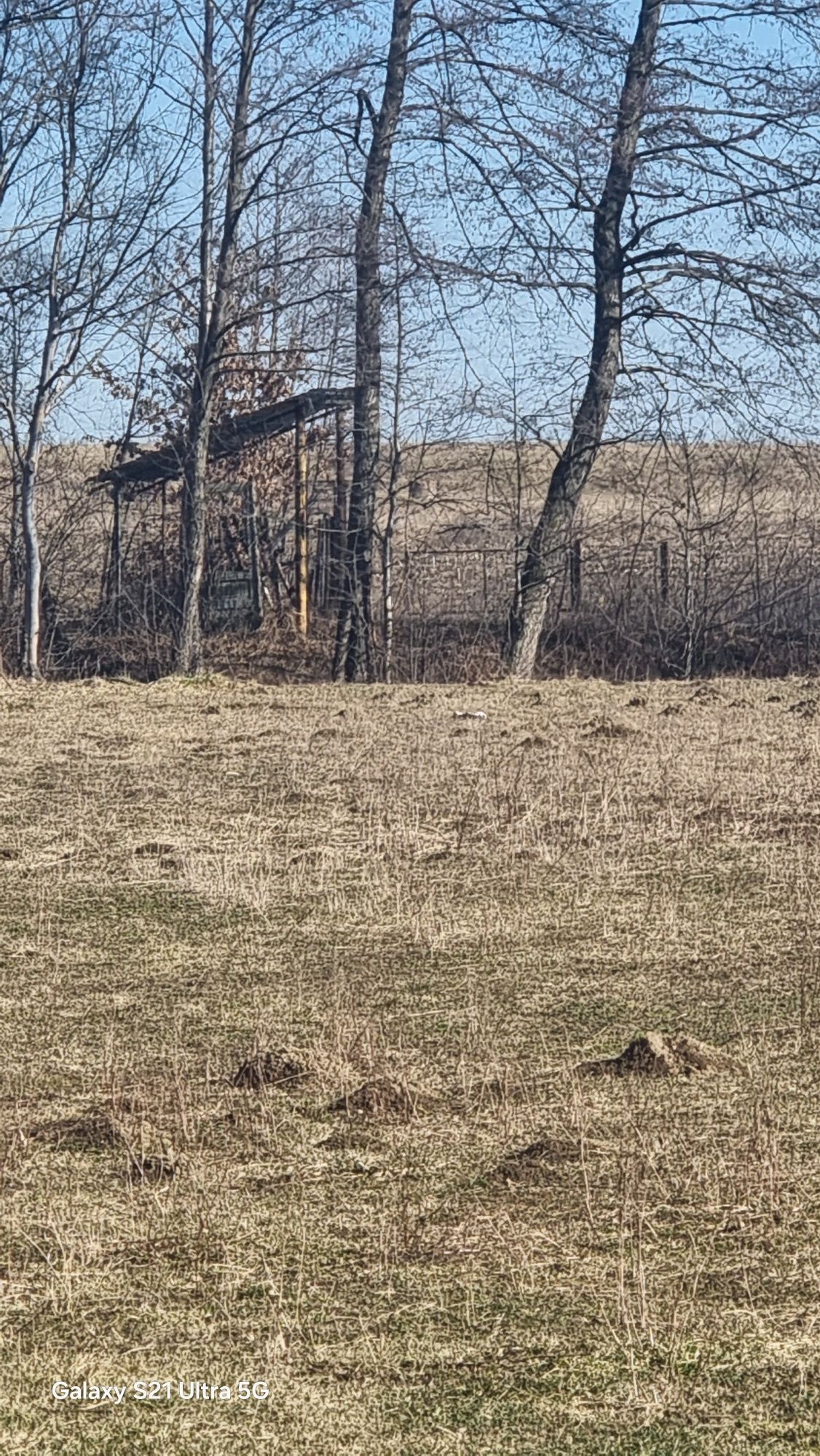 Teren intravilan 2200mp Dridif,Făgăraș