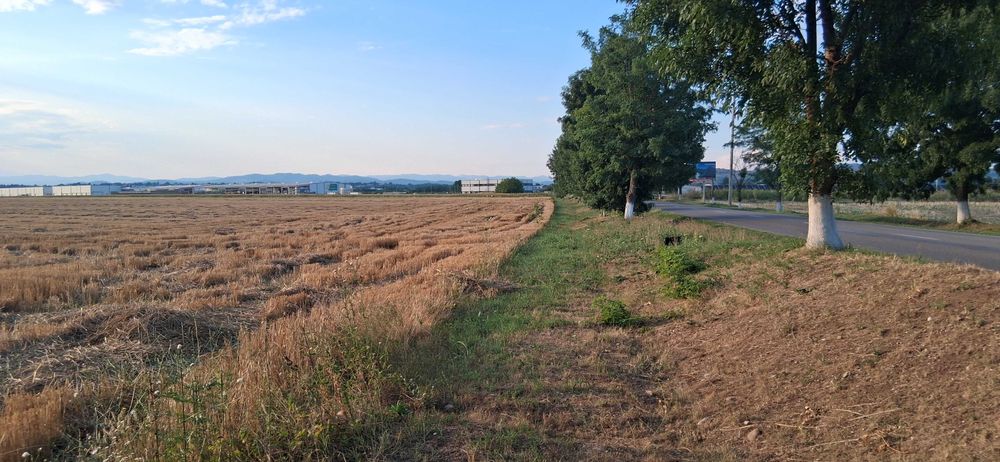 Teren Intravilan 15327mp, D-24 m, zona Industriala, str Infratirii
