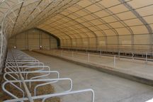 Cort industrial - 15,25x 45,5 x 7