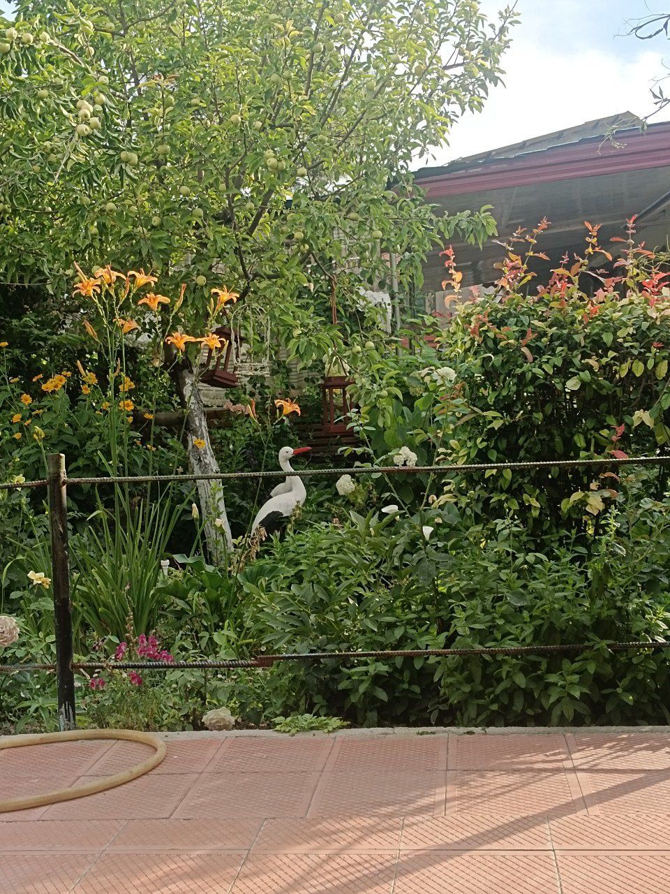 Dacha Chirchiq Aranchi