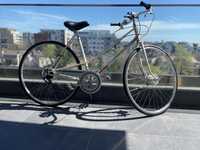 Bicicleta Alpina Bucher