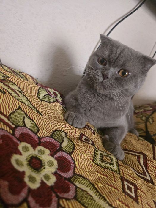 Мушук 11 ойлик жудаям ювош