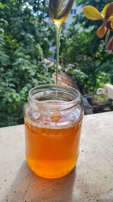 Miere de tei naturala