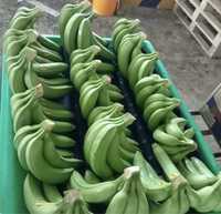 Бананы оптом Эквадор