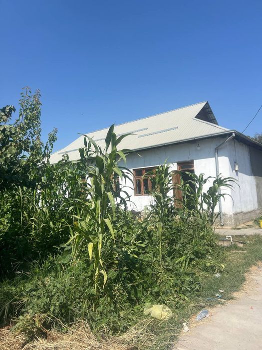 Участка аренда янгиюл битонка