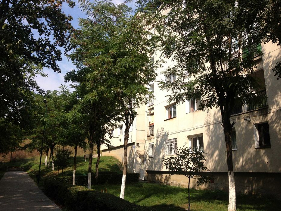 De inchiriat Apartament cu 1 camera, Targu Mures, Tudor