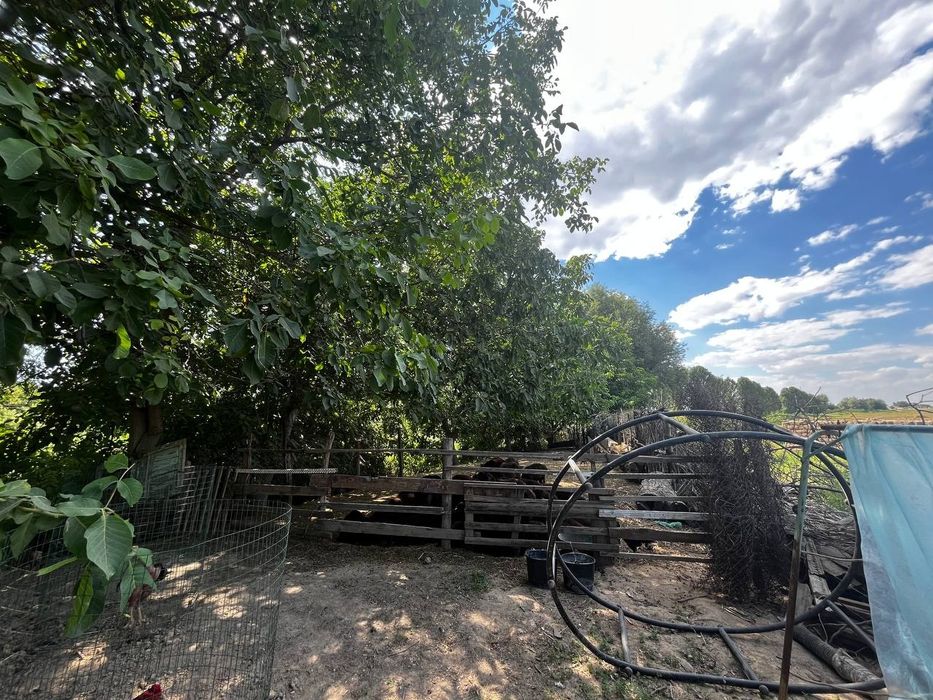 Xovli sotiladi 24 sotik zaxvat joylari bor