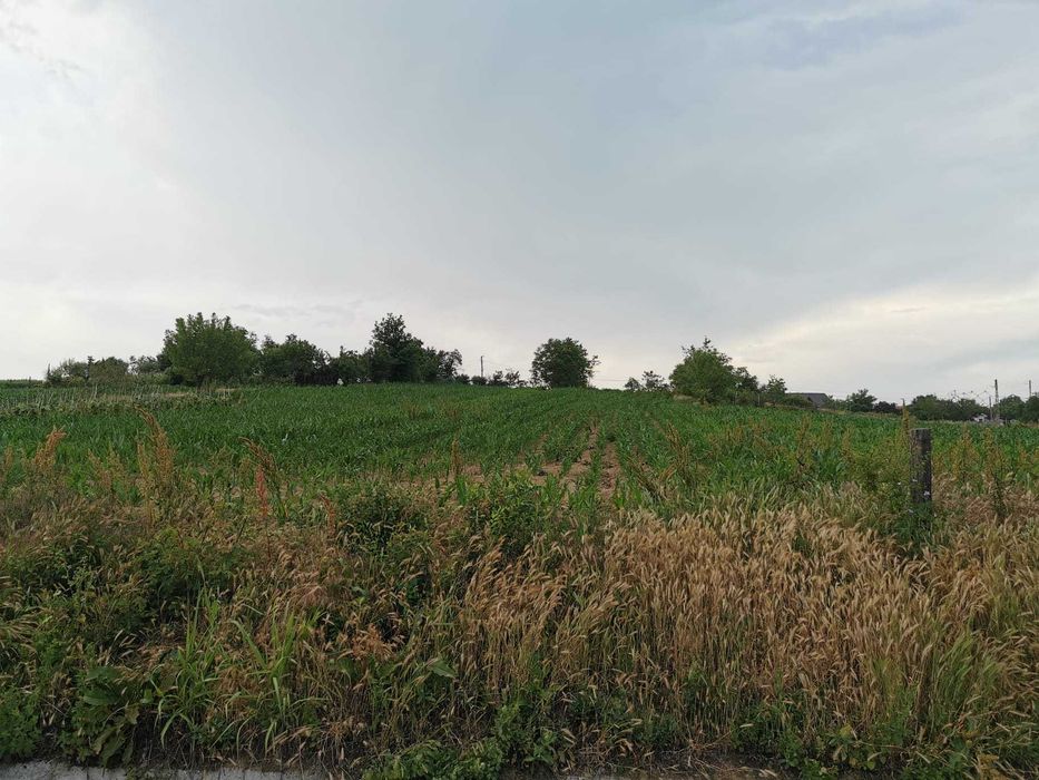 Vand teren 2800mp in Soparlita, Olt