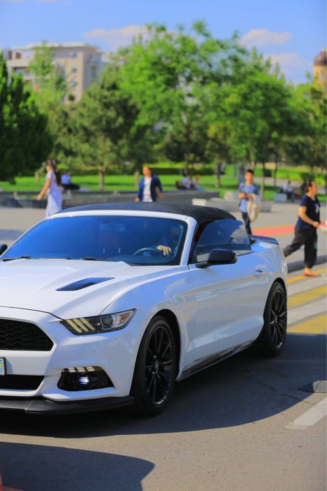 Kabriolet (Ford mustang) Rent car , Arenda