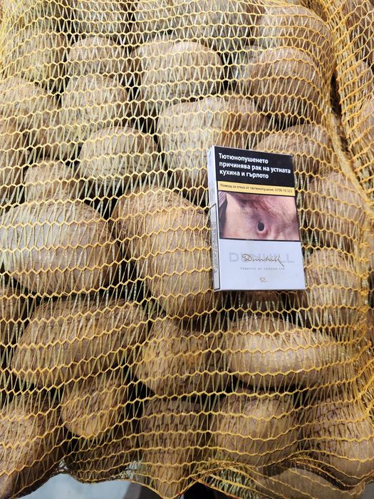 Картофи сорт СОРАЯ