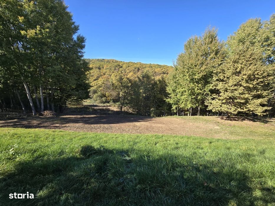 Teren 775 mp, inconjurat de padure, Cisnadioara-Apfelhaus