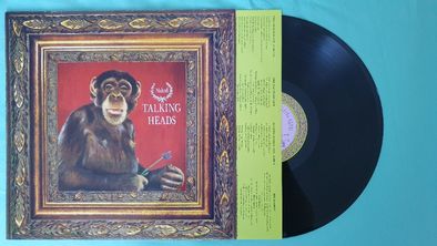Discuri VinilLP:Talking Heads,Susanne Vega,Tears For Fears,David Byrne