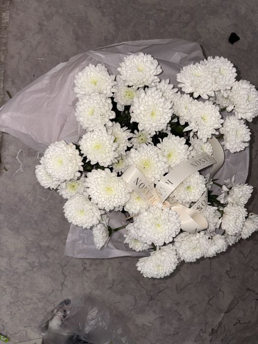 Продам цветы кустовая хризантема