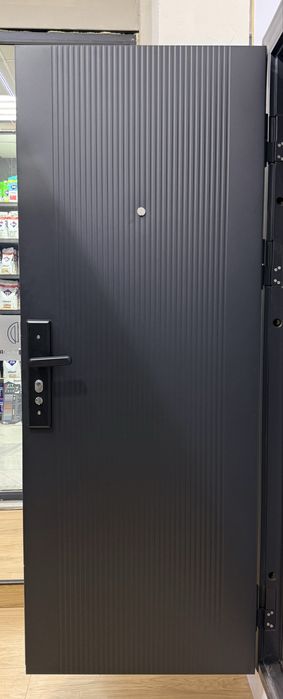 Дверь металический стальной входной