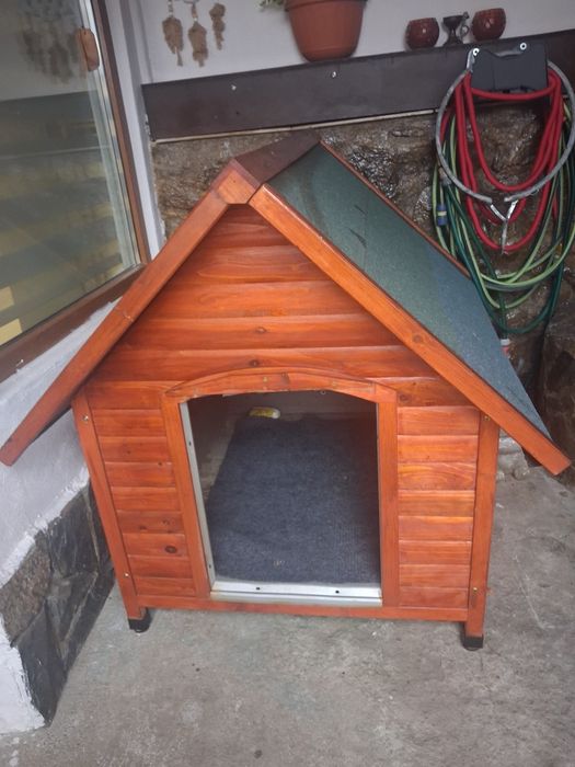 Cusca caine, talie medie