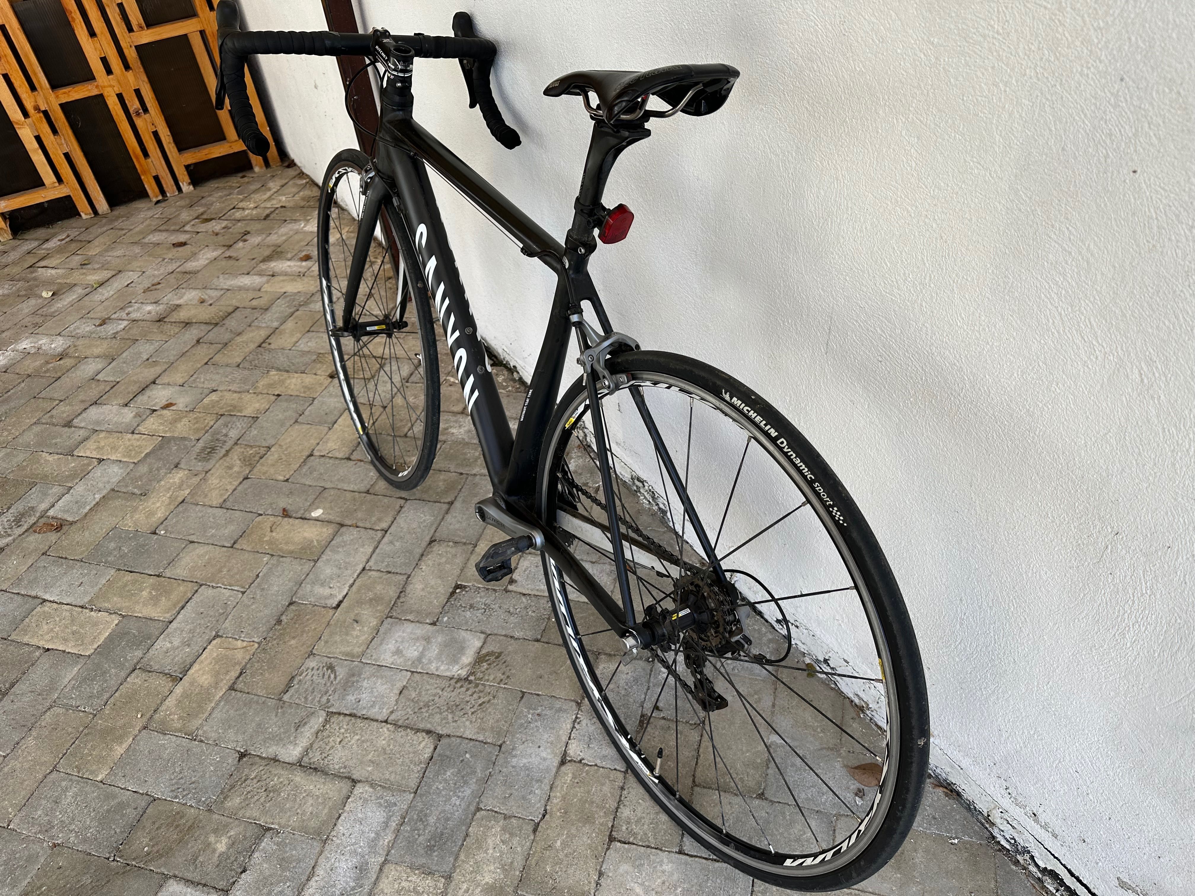 Cursiera full carbon