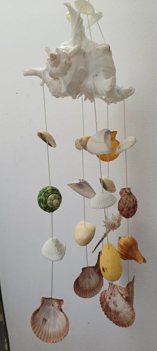 "Carusel" de scoici naturale  super frumoase