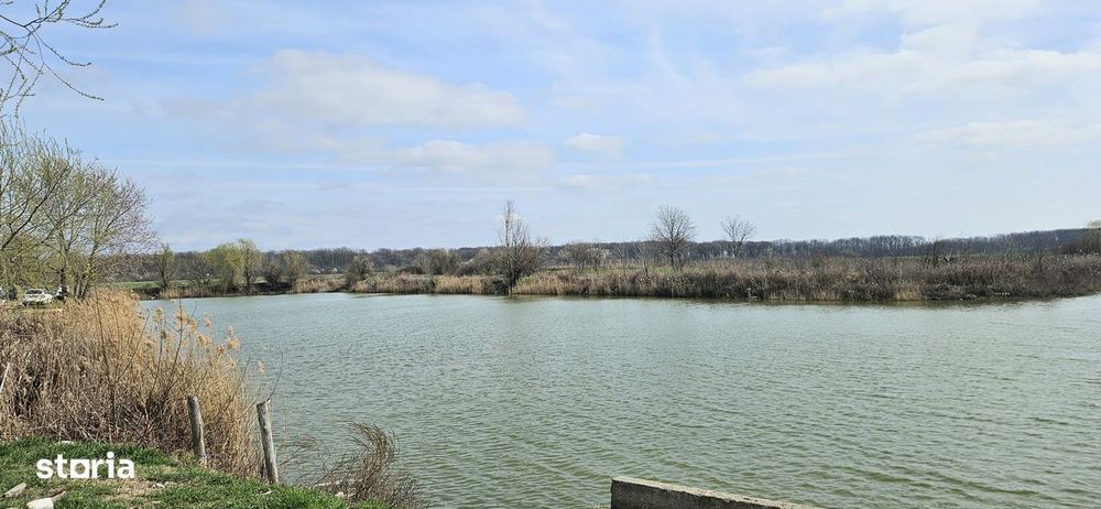 Afumati Balta Batal teren de vanzare 7000 mp