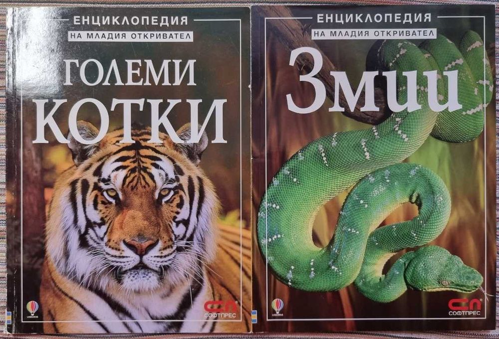 Комплект: Големи котки/Акули/Буболечки/Змии