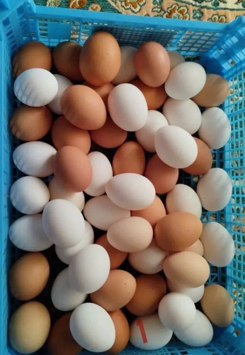 Домашние яйца  10 штук1000, с бесплатной доставкой по договоренности ,