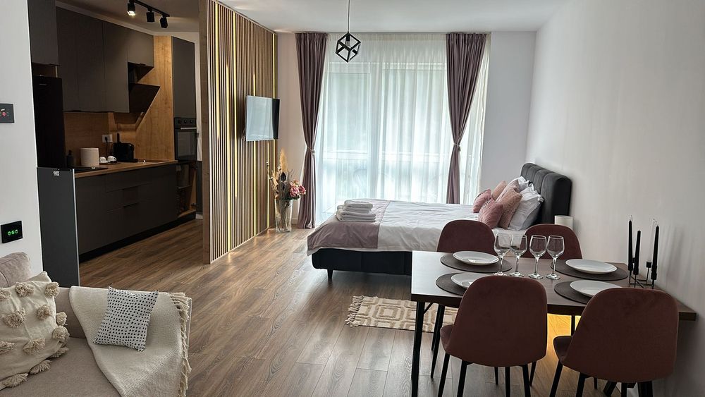 Cazare/Inchiriere Studio Sinaia