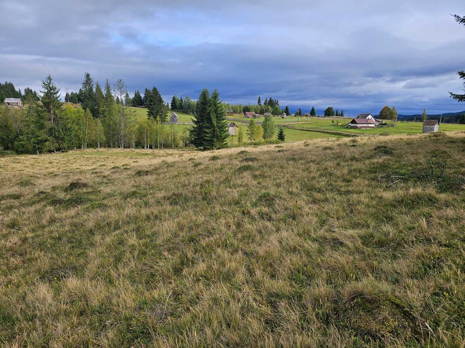 Teren intravilan de vanzare in Bucovina Fundu Moldovei zona Delut