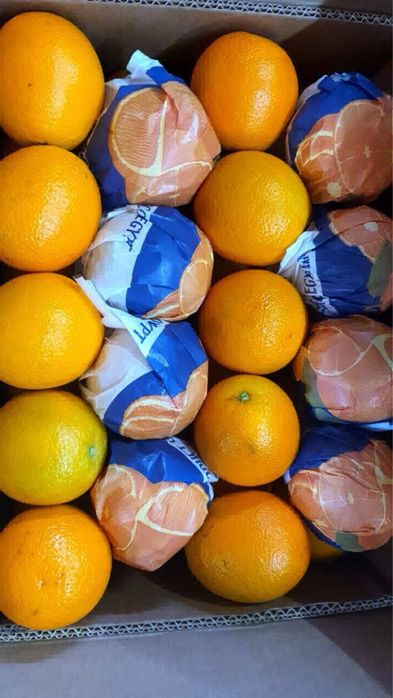 Misir Apelsini - Египетские апельсины. Оптом