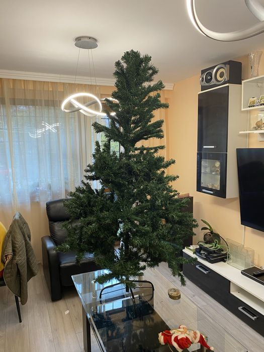 Коледна елха в много добро състояние