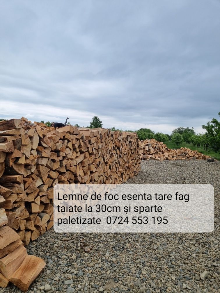 SC vinde lemne de foc taiate sparte fag paletizate Ilfov