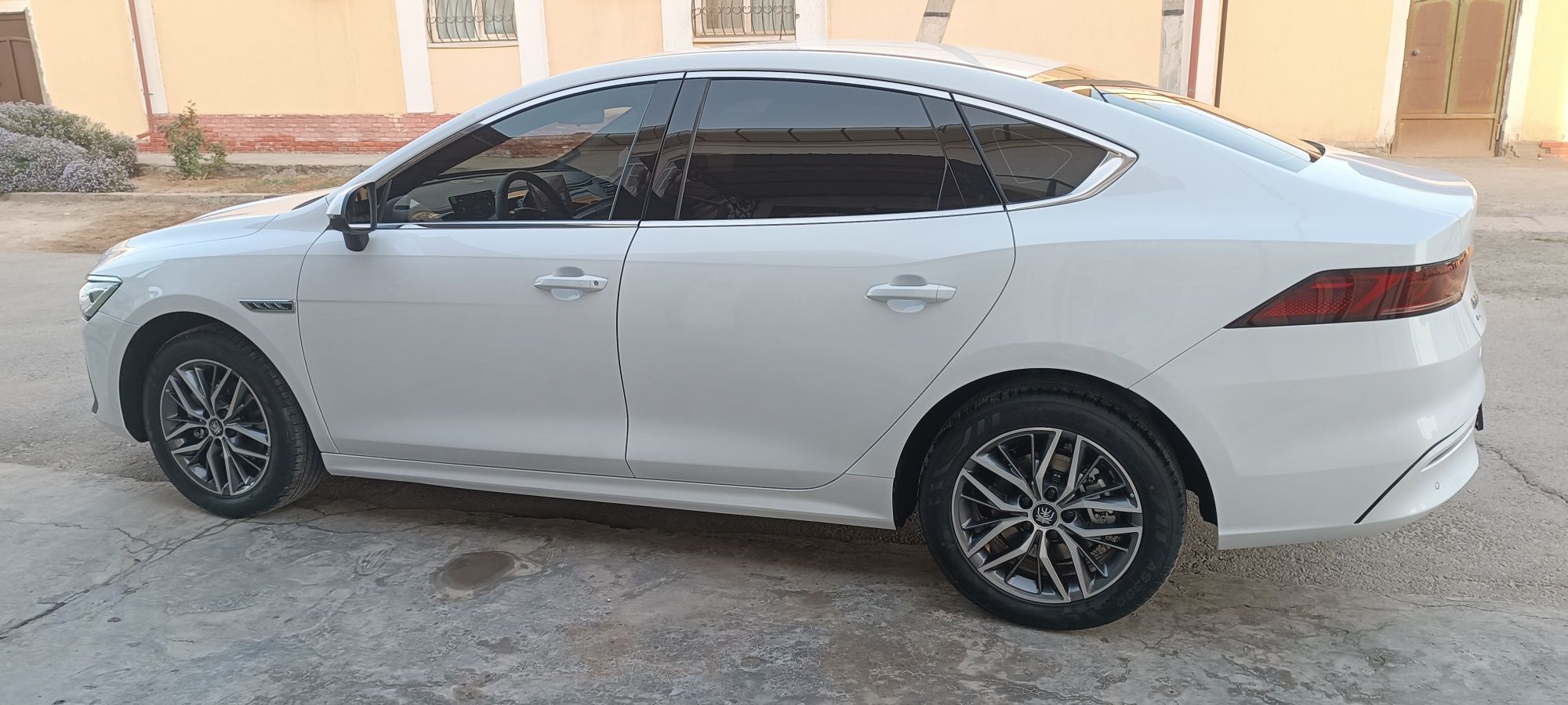 BYD Qin Plus EV 2024