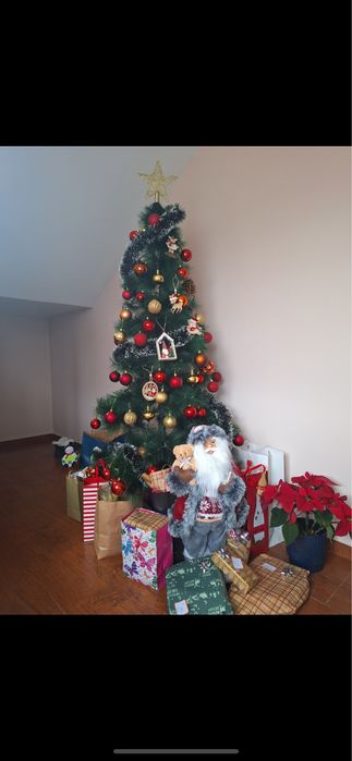 Vand Brad de Craciun