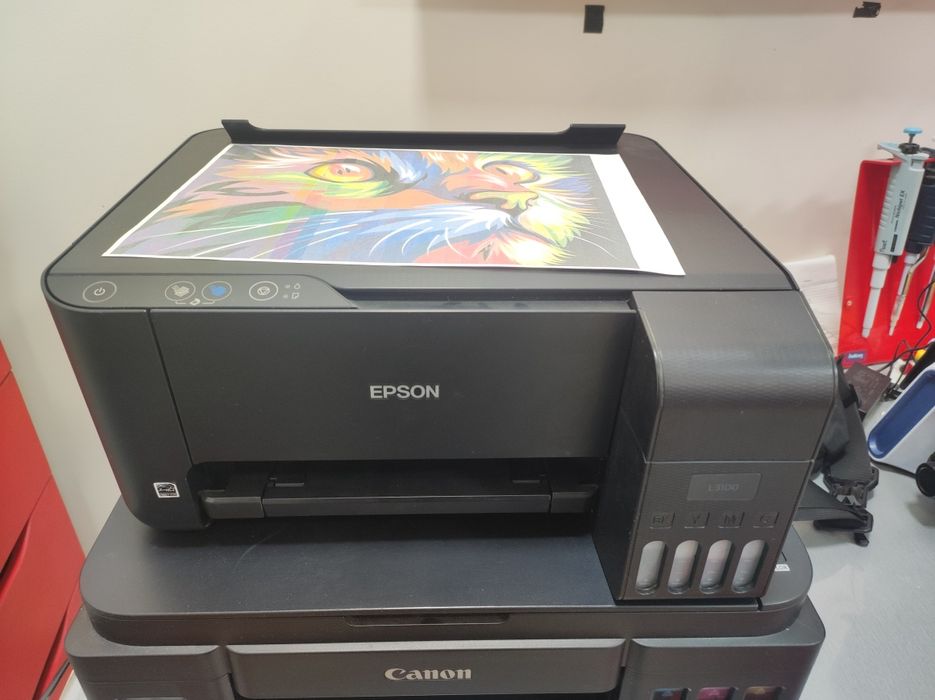 Принтер Epson 3119