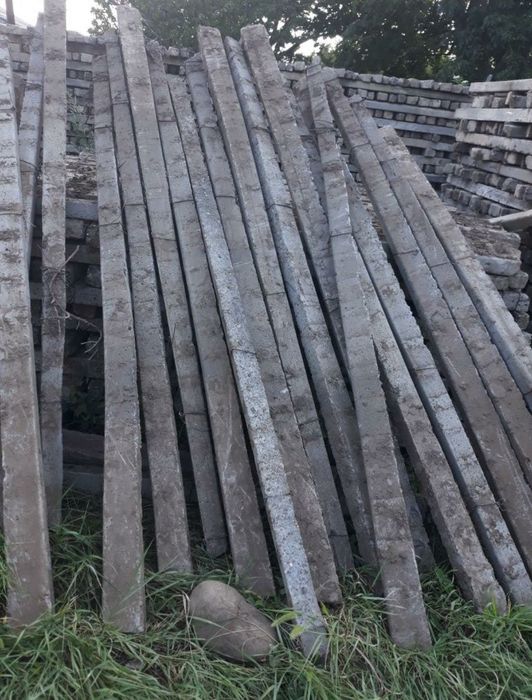 Spalier beton stâlpi de vie de gard din defrișări