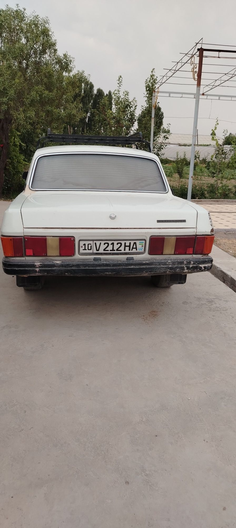 Volga 31 sotiladi