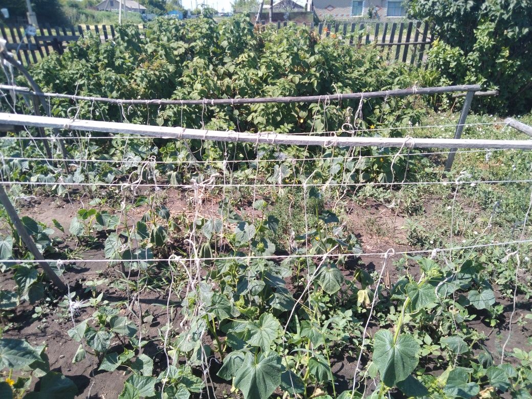 Продам дом с мебелью