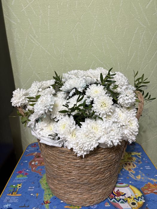 Продам цветы в корзине