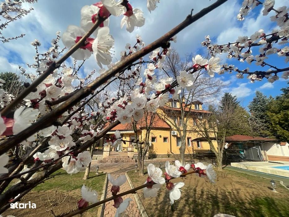 Villa Tajen - Pool & Sauna/Luxury Interior/Vast Fruit Garden