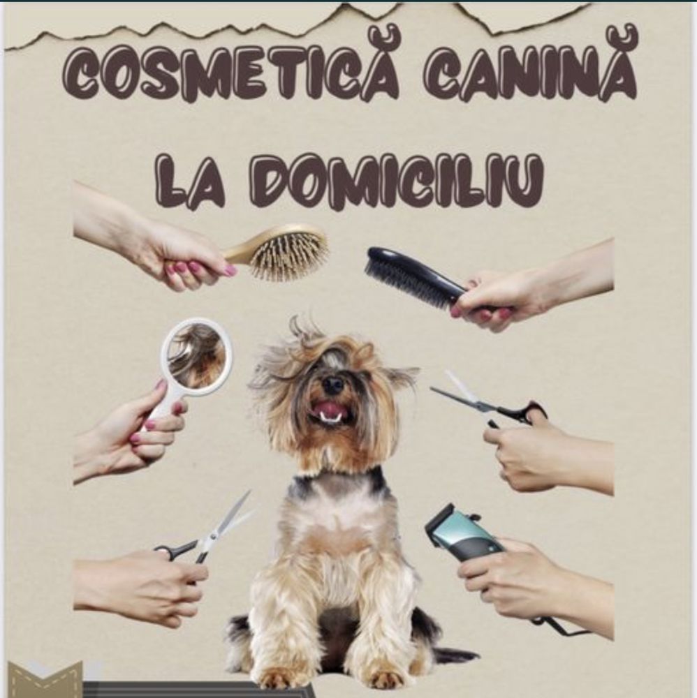 Coafura canina si felina la domiciliu