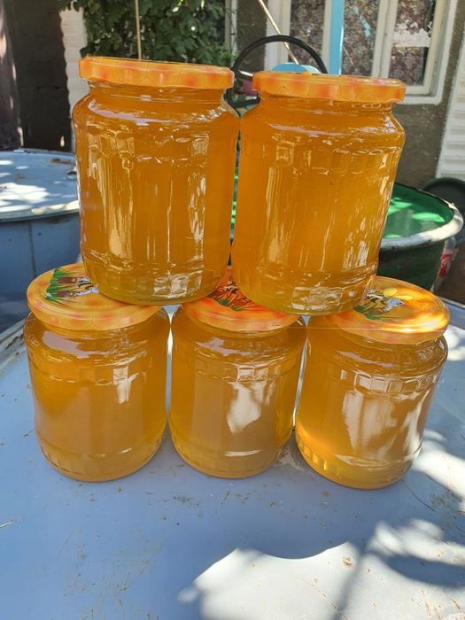 Vând miere de Tei angro la butoi de 300 kg..