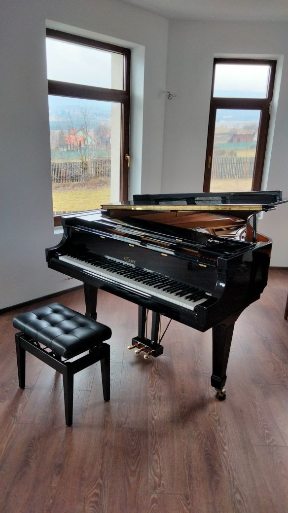 ESSEX EGP 183 Designed by Steinway & Sons