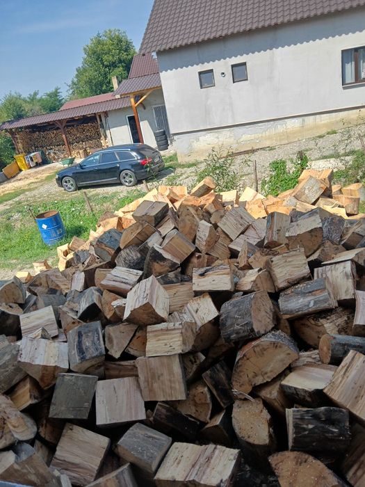 Vând lemn de foc esență fag