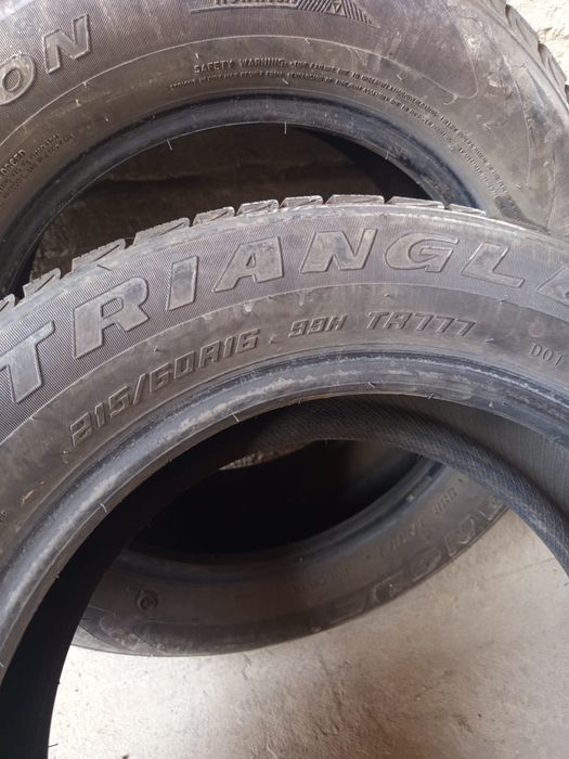 Зимние шины Triangle