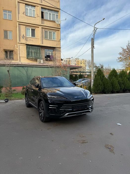 Byd chempion song plus DM-i